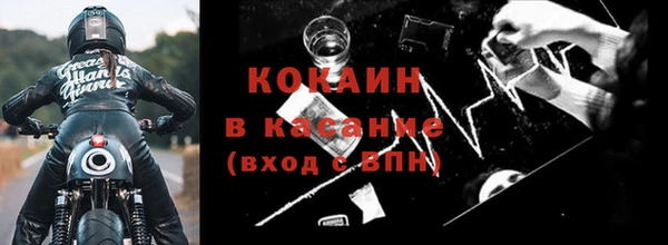 сатива Арсеньев