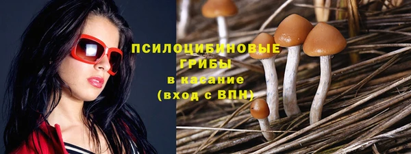 сатива Арсеньев